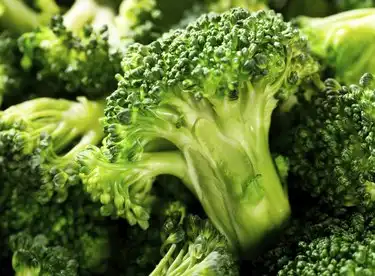 Glucoraphanin Powder: Key Usage Insights